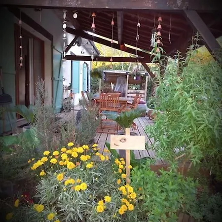 Maison Avec Piscine Proche Des Thermes Mauleon-D'armagnac