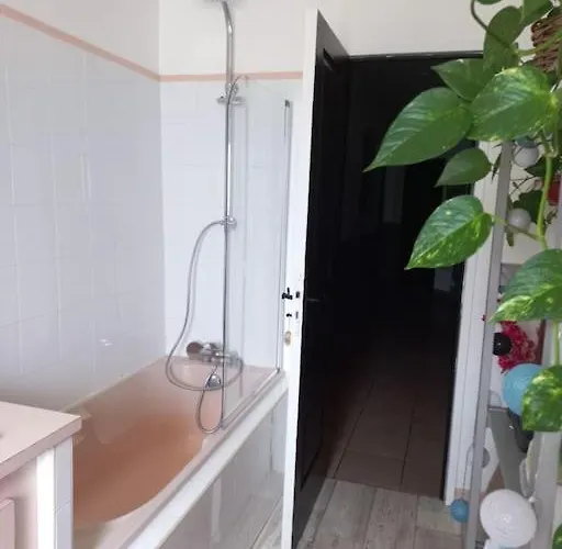 Maison Avec Piscine Proche Des Thermes Mauleon-D'armagnac